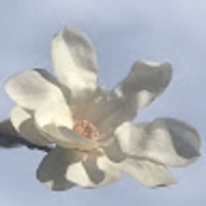 Meet your Posher, Joanna